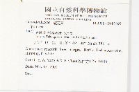 銳葉牽牛藏品圖，第2張