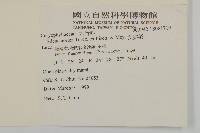 女婁菜藏品圖，第2張