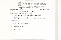 霍香薊藏品圖，第2張