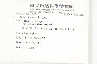 豬草藏品圖，第2張