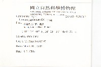 小薊藏品圖，第2張