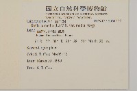 繁縷藏品圖，第2張