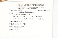 茵蔯蒿藏品圖，第2張