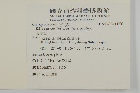 女婁菜藏品圖，第2張