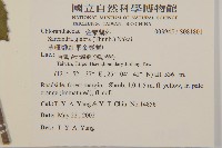 草珊瑚、紅果金粟蘭藏品圖，第2張