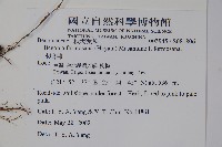 水鴨腳藏品圖，第2張