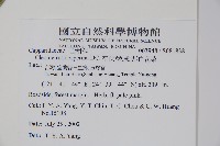 平伏莖白花菜、成功白花菜藏品圖，第2張