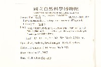 玉山毛蓮菜藏品圖，第2張