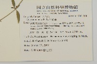 狗筋蔓藏品圖，第2張