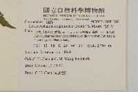 昭和草藏品圖，第2張