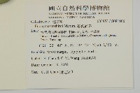 菱葉衛矛藏品圖，第2張