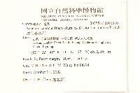 裂葉蔓黃菀藏品圖，第2張