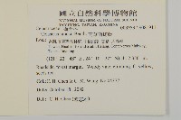 南華南蛇藤，青江藤藏品圖，第2張