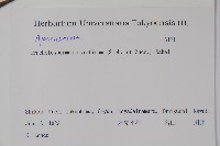 亞洲絡石藏品圖，第2張