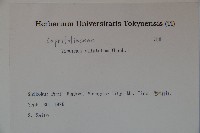 莢迷藏品圖，第2張