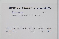 三菱果樹參藏品圖，第2張