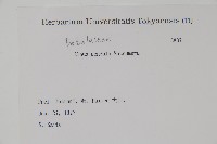 登錄號:S081946藏品圖，第2張