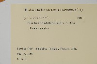 淫羊藿藏品圖，第2張