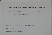 松田氏莢迷、宜昌莢迷藏品圖，第2張