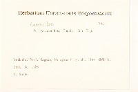 登錄號:S082041藏品圖，第2張