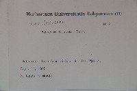 莢迷藏品圖，第2張