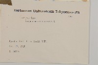 天名精藏品圖，第2張