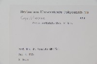 登錄號:S082066藏品圖，第2張