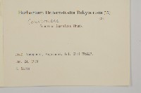 日本衛矛, 大葉黃楊藏品圖，第2張