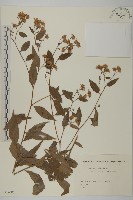 登錄號:S082085藏品圖，第1張