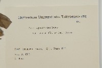 登錄號:S082085藏品圖，第2張