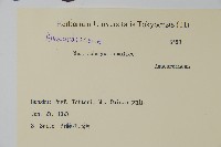 臺灣藤漆藏品圖，第2張