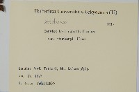 登錄號:S082108藏品圖，第2張