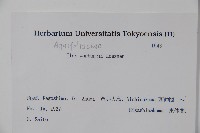 華氏冬青藏品圖，第2張