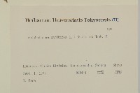 抱莖籟簫藏品圖，第2張