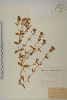 登錄號:S082130藏品圖，第1張