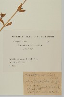 登錄號:S082130藏品圖，第2張