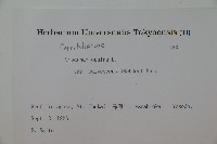 雞樹條莢迷藏品圖，第2張