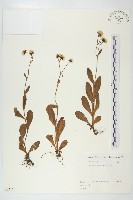 登錄號:S082161藏品圖，第1張