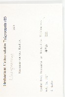 胡頹子藏品圖，第2張