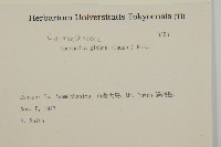 草珊瑚、紅果金粟蘭藏品圖，第2張