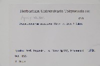 亞洲絡石藏品圖，第2張