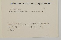 日本賽衛矛、日本假衛矛藏品圖，第2張