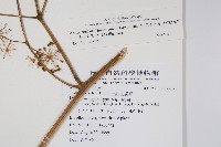 登錄號:S082287藏品圖，第2張