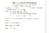 葶藶藏品圖，第2張