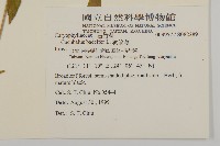 狗筋蔓藏品圖，第2張