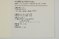 佩羅特木藏品圖，第2張