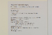 大頭艾納香藏品圖，第2張