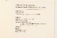 蔓澤蘭藏品圖，第2張