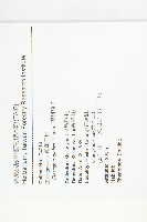 藤胡頹子藏品圖，第2張