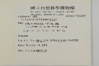 纓絨花藏品圖，第2張